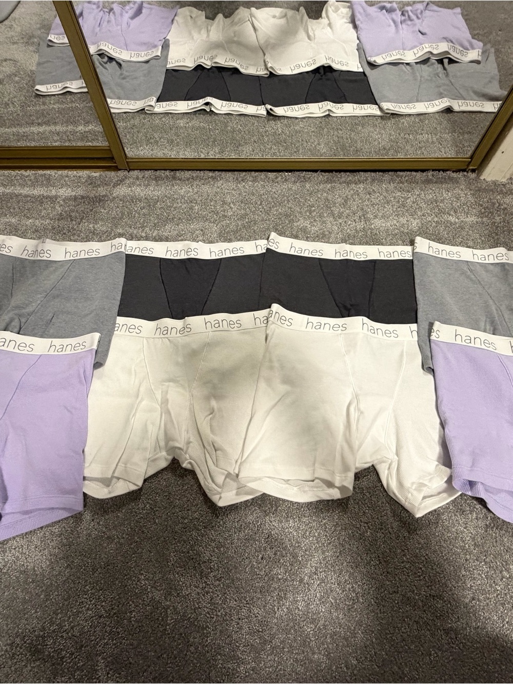 Hanes Women’s Pack Cotton Stretch Boxer Briefs - White, Black, Gray, Lavender